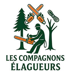 elagage-les-compagnons-elagueurs